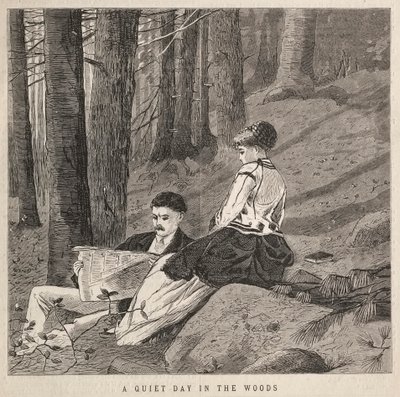 Una giornata tranquilla nei boschi, 1870 da Winslow Homer