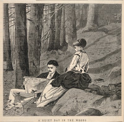 Una tranquilla giornata nel bosco, da Appletons