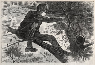  da Winslow Homer