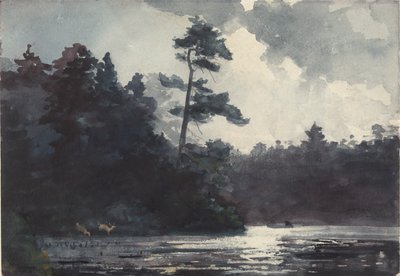Lago Adirondack da Winslow Homer