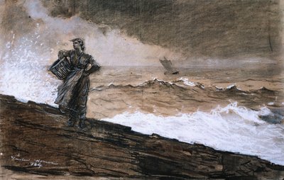 In alto mare, 1884 da Winslow Homer