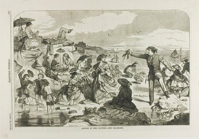 Agosto in campagna - La riva del mare da Winslow Homer