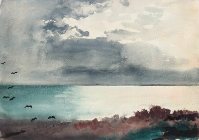 Tempesta in corso, costa del Maine da Winslow Homer