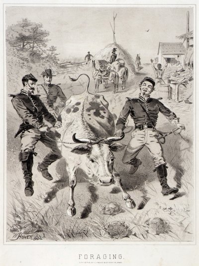 Schizzi di campagna: Foraggiamento da Winslow Homer