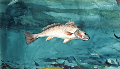 Basso canale, 1904 da Winslow Homer