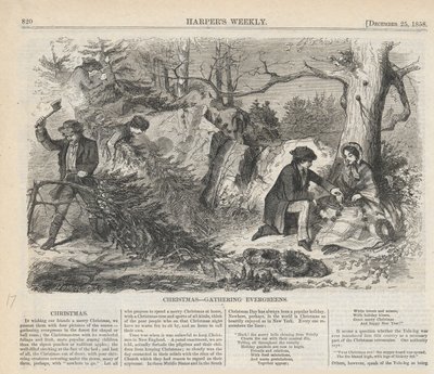 Raccolta di sempreverdi natalizi, da Harper da Winslow Homer