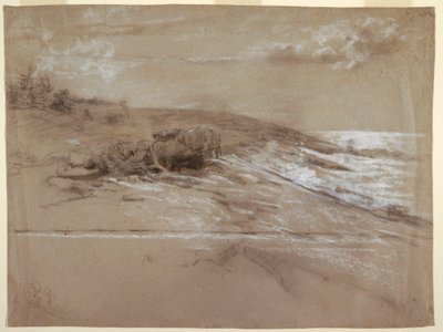 Disegno, costa marittima con pini marittimi, Prout