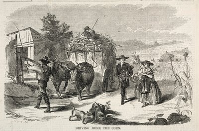 Guidare il mais a casa da Winslow Homer