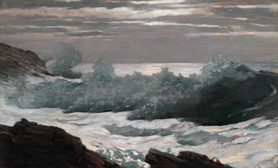 Mattina presto dopo una tempesta in mare da Winslow Homer