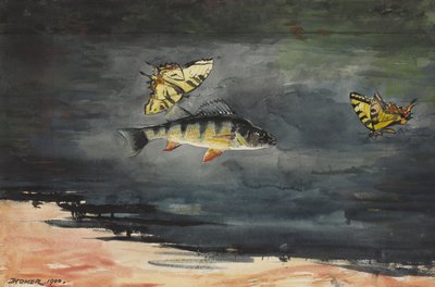 Pesci e farfalle da Winslow Homer