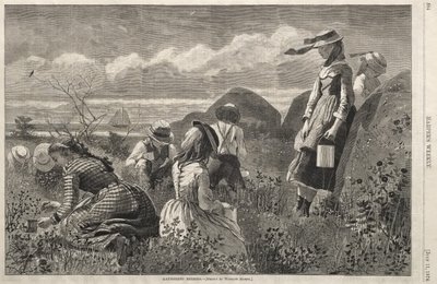  da Winslow Homer