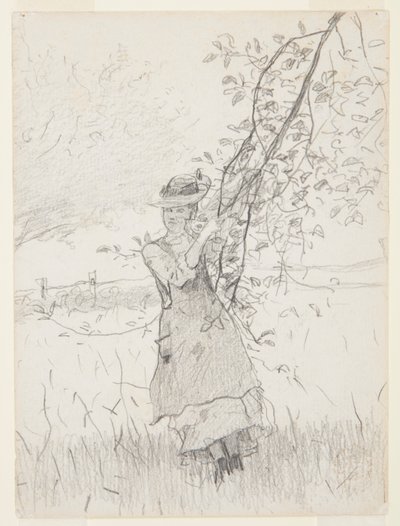 Ragazza che tiene un ramo di melo da Winslow Homer