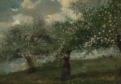 Ragazza che raccoglie fiori di melo da Winslow Homer