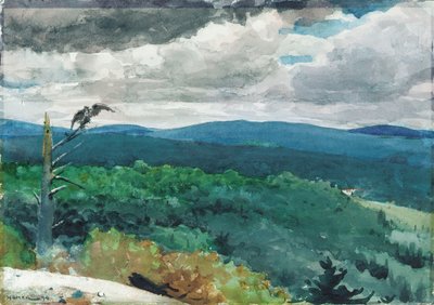 Paesaggio collinare da Winslow Homer
