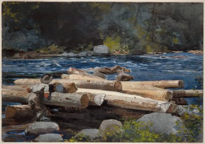  da Winslow Homer