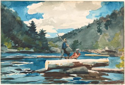 Fiume Hudson, disboscamento da Winslow Homer