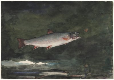 Trota che salta, 1889 da Winslow Homer
