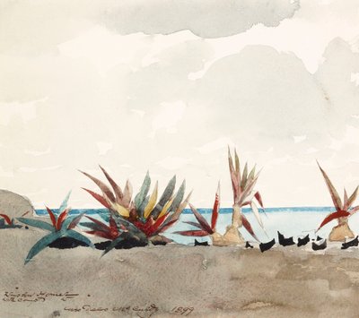  da Winslow Homer