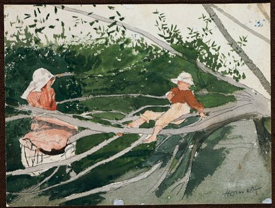 Fuori su un ramo da Winslow Homer
