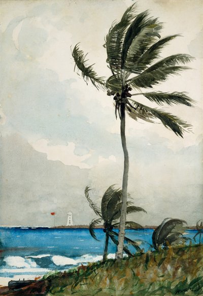 Palma, Nassau da Winslow Homer