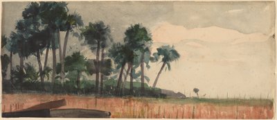 Palme, rosse da Winslow Homer