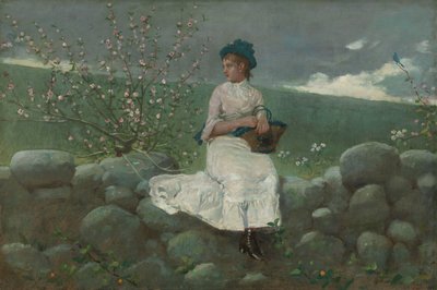 Fiori di pesco da Winslow Homer