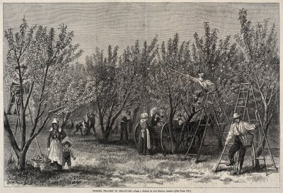  da Winslow Homer