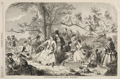 Picnic nel bosco, 1858 da Winslow Homer
