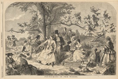 Picnic nel Bosco, da Harper da Winslow Homer