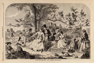Picnic nel bosco, da Harper