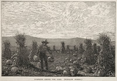 Zucche tra il mais da Winslow Homer