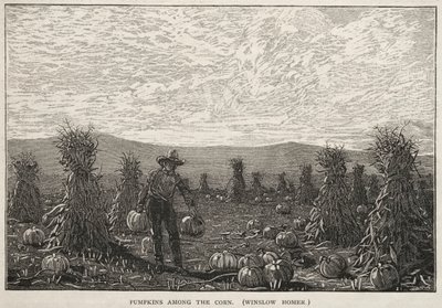 Zucca tra il Mais da Winslow Homer