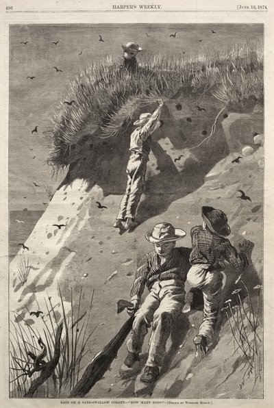 Incursione in una colonia di topini - «Quante uova?» da Winslow Homer