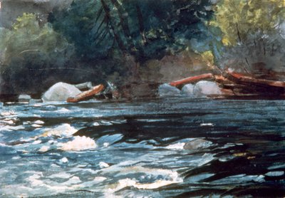 Rapide, fiume Hudson da Winslow Homer