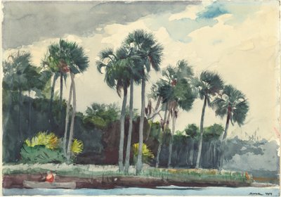 Camicia rossa, Homosassa, Florida da Winslow Homer