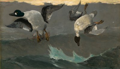 Destra e sinistra da Winslow Homer