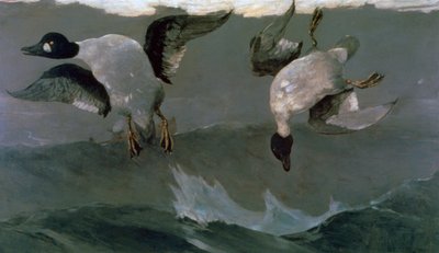 Destra e Sinistra, 1909 da Winslow Homer