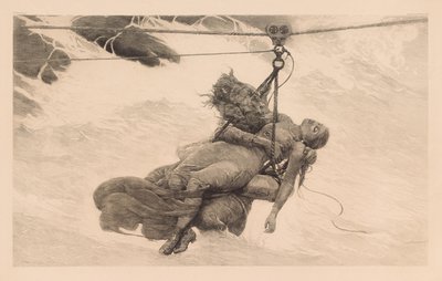 Salvato da Winslow Homer