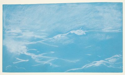 Gabbiano e onde da Winslow Homer