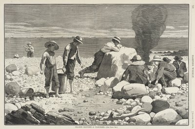  da Winslow Homer