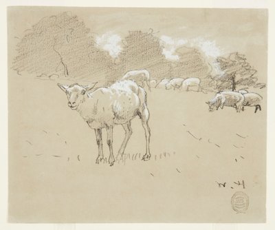Pecore al pascolo in un campo da Winslow Homer