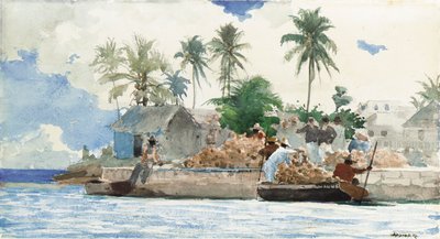 Pescatore di spugne, Bahamas da Winslow Homer