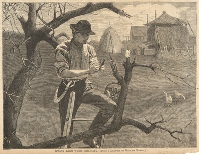 Lavoro agricolo primaverile da Winslow Homer