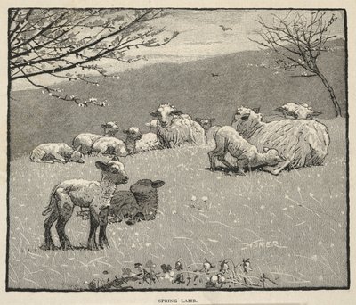  da Winslow Homer