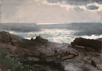 Sole e ombra, Collo di Prout da Winslow Homer