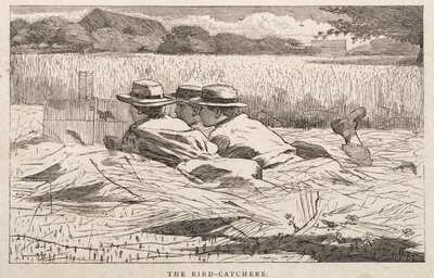 Gli acchiappa-uccelli da Winslow Homer
