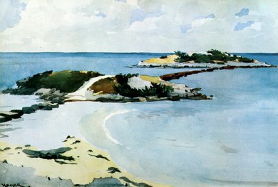 Il favorito, 1899-1901 da Winslow Homer