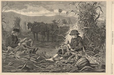 Gli Ultimi Giorni del Raccolto, da Harper da Winslow Homer