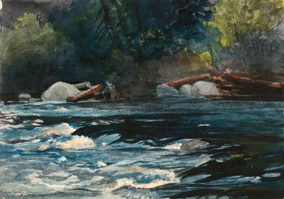 Le Rapide, fiume Hudson, Adirondack da Winslow Homer