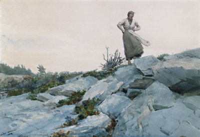 Il raccoglitore di rami da Winslow Homer